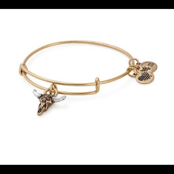 Alex and Ani Jewelry - Alex and Ani Spirited Skull Charm Expandable Wire